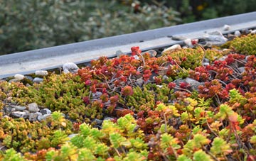 the cost of Sidford green roof installation