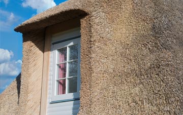 Sidford thatch roof disadvantages