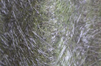 Sidford fibreglass roof work